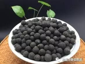 新会柑胎和广西柑胎的外形区别,新会柑胎介绍