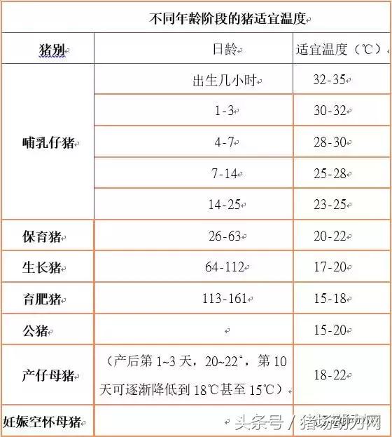 急性腹泻的特效药方,流行性腹泻实战方案大汇集