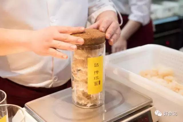 绣球菌成精了！280天的等待，唇齿相依的一刻，你会爱上她吗？