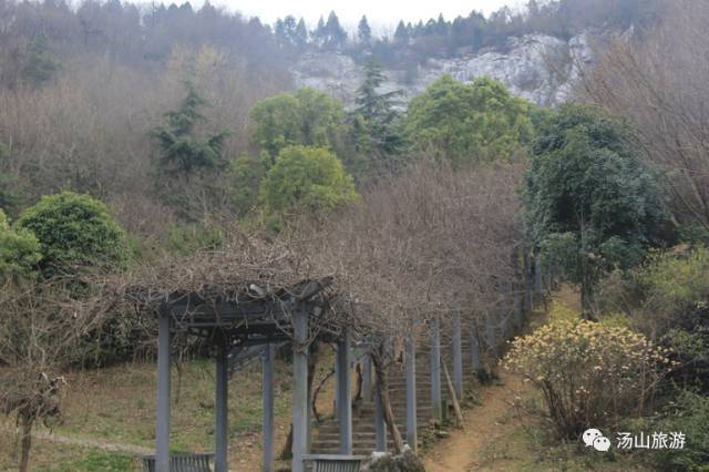 李家村一座水上桃源，与你约会这个春天