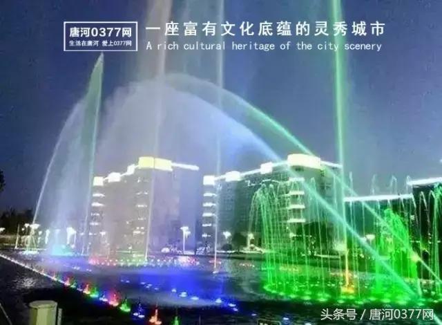 唐河，你就是一个P？