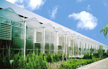 地里建的房子,地里盖房子有虫子怎么办