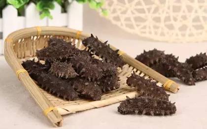 海参十大产地排名,大连隆品堂海参产地是哪里