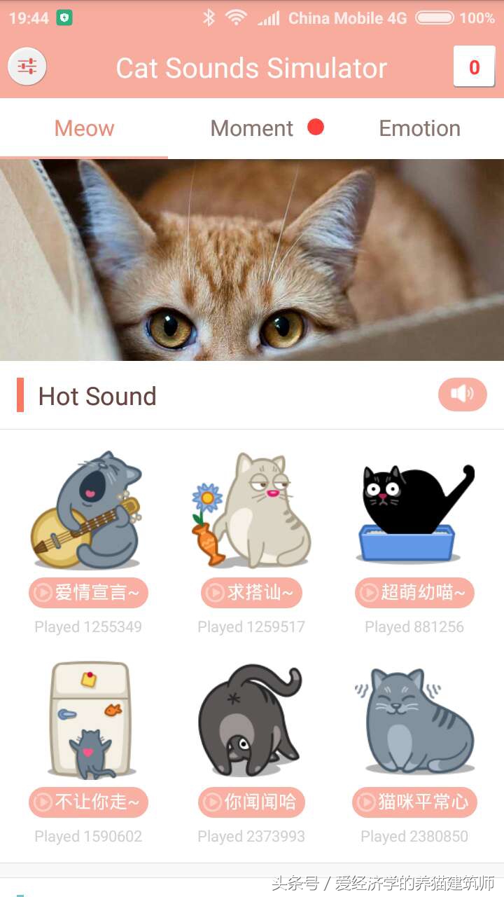 可以学猫叫的模拟器,猫叫模拟器下载安装
