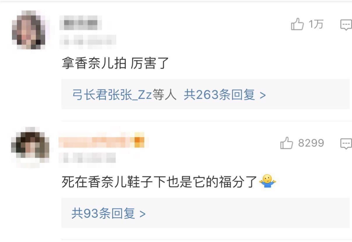 网友说陈乔恩的蟑螂死得贵气，不过陆毅能买豪车却出不起洗车钱？