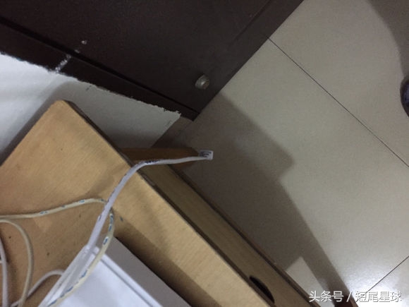 母兔子会咬数据线么,兔子喜欢咬主人是怎么回事