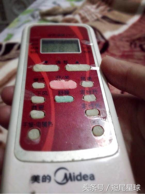 母兔子会咬数据线么,兔子喜欢咬主人是怎么回事