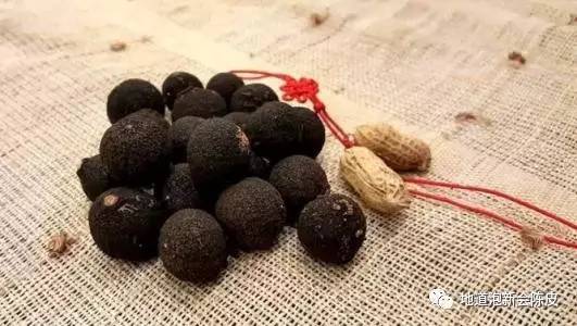 新会柑胎和广西柑胎的外形区别,新会柑胎介绍