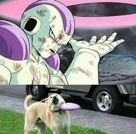 当你想揍一个人又揍不到的时候,有什么理由可以揍一个人