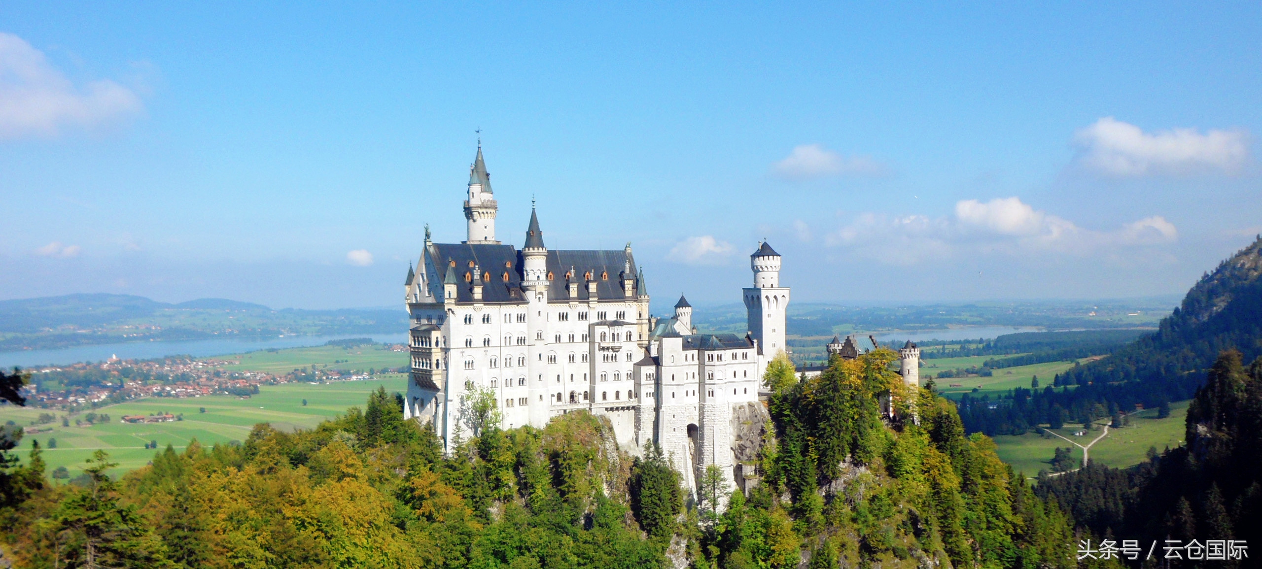 全品牌奶粉真伪,正品奶粉品牌大全