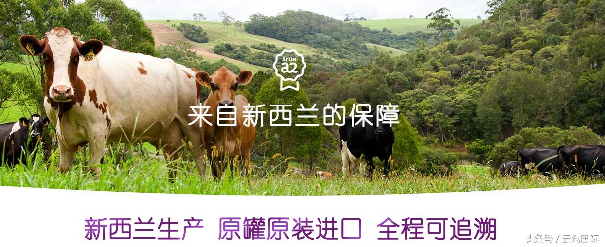 全品牌奶粉真伪,正品奶粉品牌大全