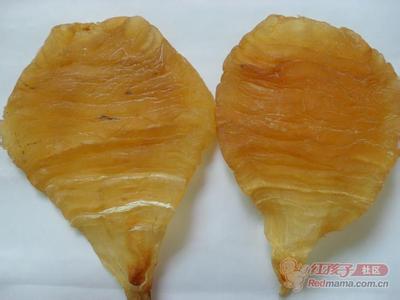 哪些鱼鳔可以制成鱼胶,加工鱼鳔