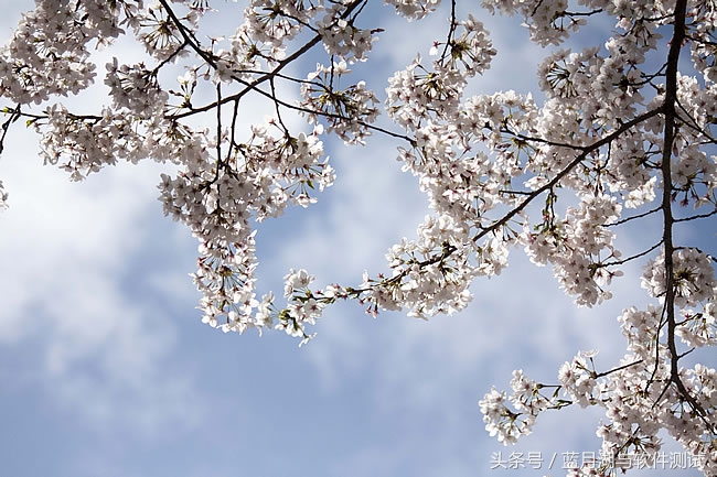 怎么彻底卸载oracle重头安装,win7oracle如何卸载干净