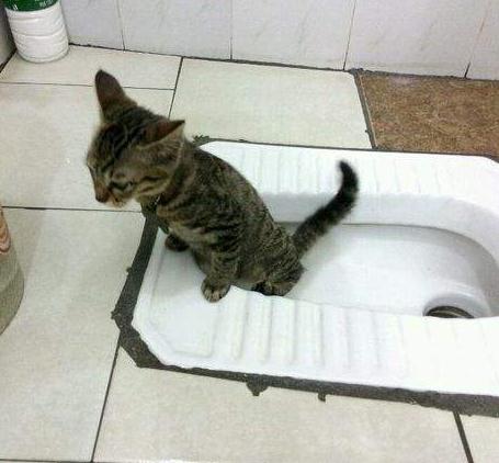 蹲厕所腿麻能快速恢复,蹲厕所脚为什么会麻像针刺一样