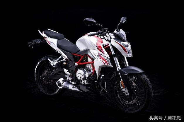 隆鑫300最新视频,隆鑫300