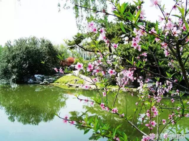 南京莫愁湖公园免费,南京免费公园免费开放日一览表