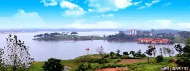 唐河，你就是一个P？