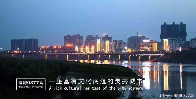 唐河，你就是一个P？