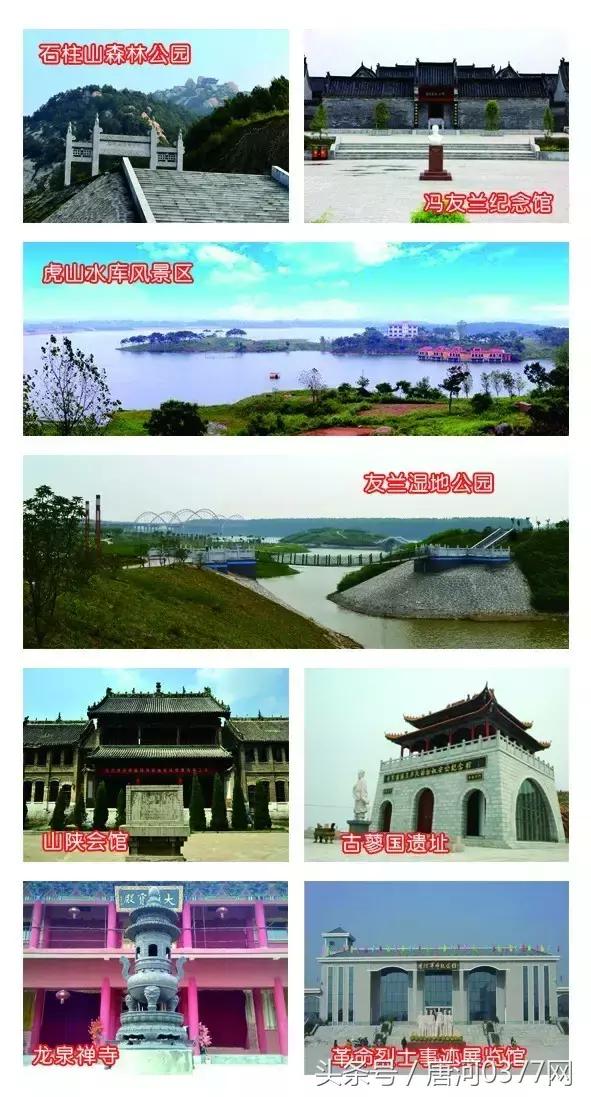 唐河，你就是一个P？