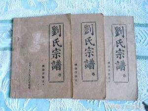 湖南省新宁县刘氏家谱总汇,刘氏家谱总汇河北衡水