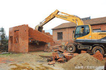 地里建的房子,地里盖房子有虫子怎么办