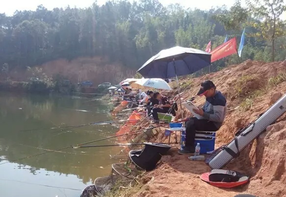 中西钓线和瓦里瓦斯钓线哪个好,十大良心钓线推荐