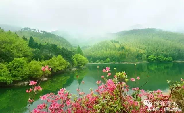 厉害了我的大商城，这是商城县最牛的打开方式……