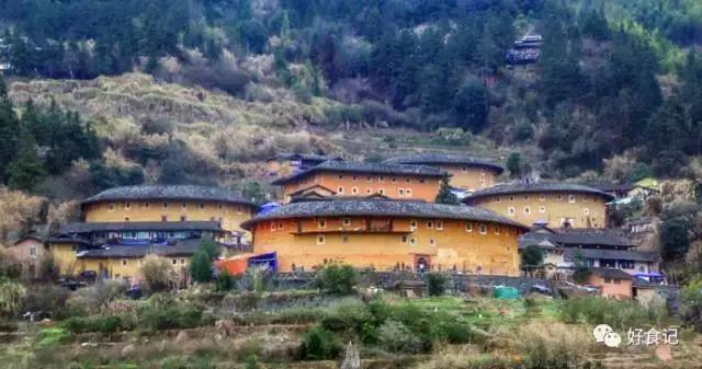 绣球菌成精了！280天的等待，唇齿相依的一刻，你会爱上她吗？