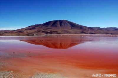 “育碧星玩家”奈落虎：你好，这里是玻利维亚