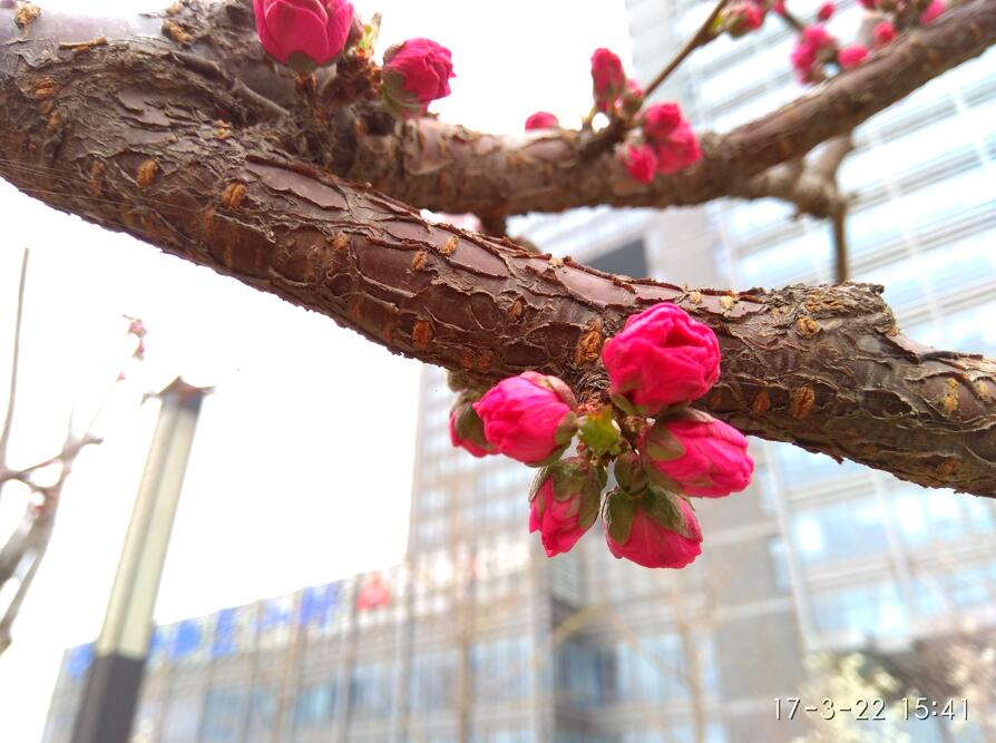 红米note4x缺点及差评,红米note4x高配版到底怎样