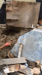 带女朋友回家见哥哥,女朋友回家见哥哥