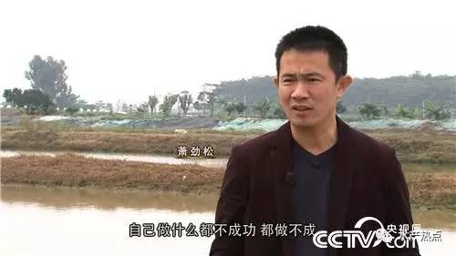 一年纯利润十几万的鱼,一个大棚养出的鱼销售额接近百万