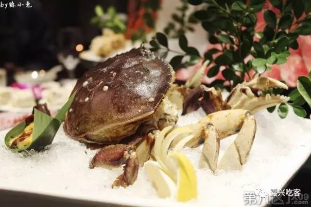 没想到你是这样的28路公车，一圈吃下来已经不是扶车而下这么简单了！（下篇）NO.517