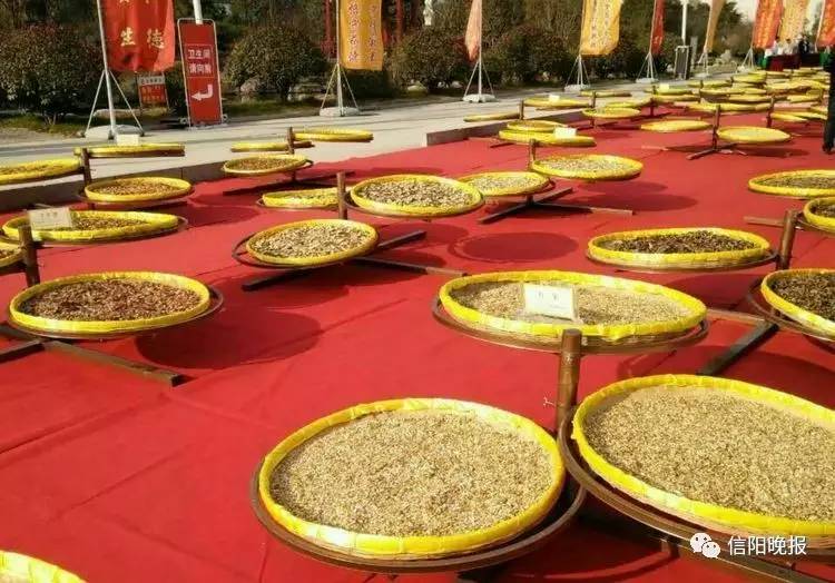 「福利」信阳景福堂国药馆“中医药文化节”大型义诊活动开启！