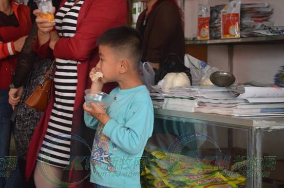 只用了225天，它就成了“猪王”！