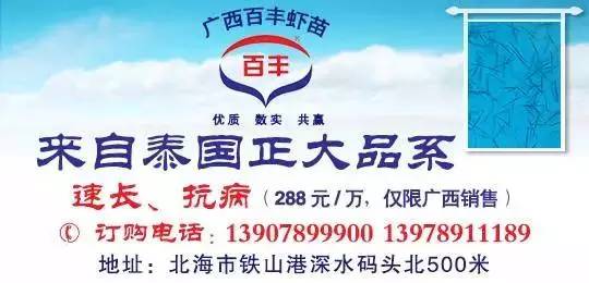 南美白对虾细菌疾病症状,南美白对虾疾病预兆