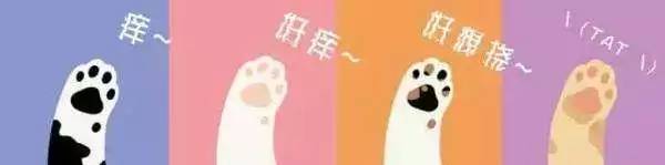 蠓虫不吸血怎么活,蠓虫最怕什么怎么防