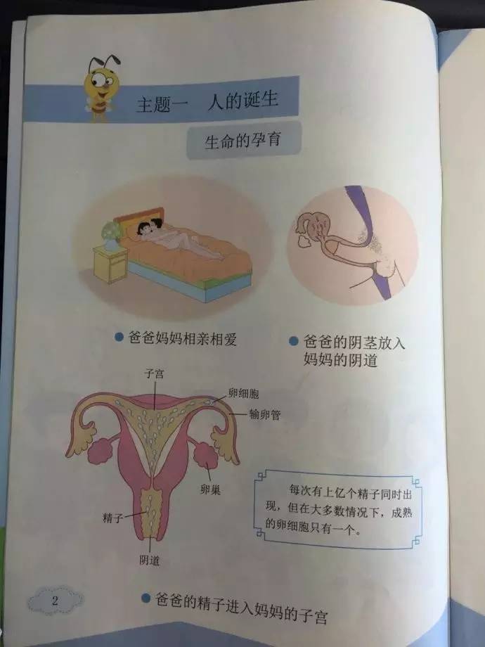 北师大有专业级差吗,北师大版教材存在的问题及建议