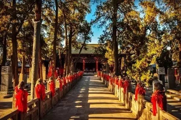 景区年票是怎么办理的,旅游年票的办理时间是多久