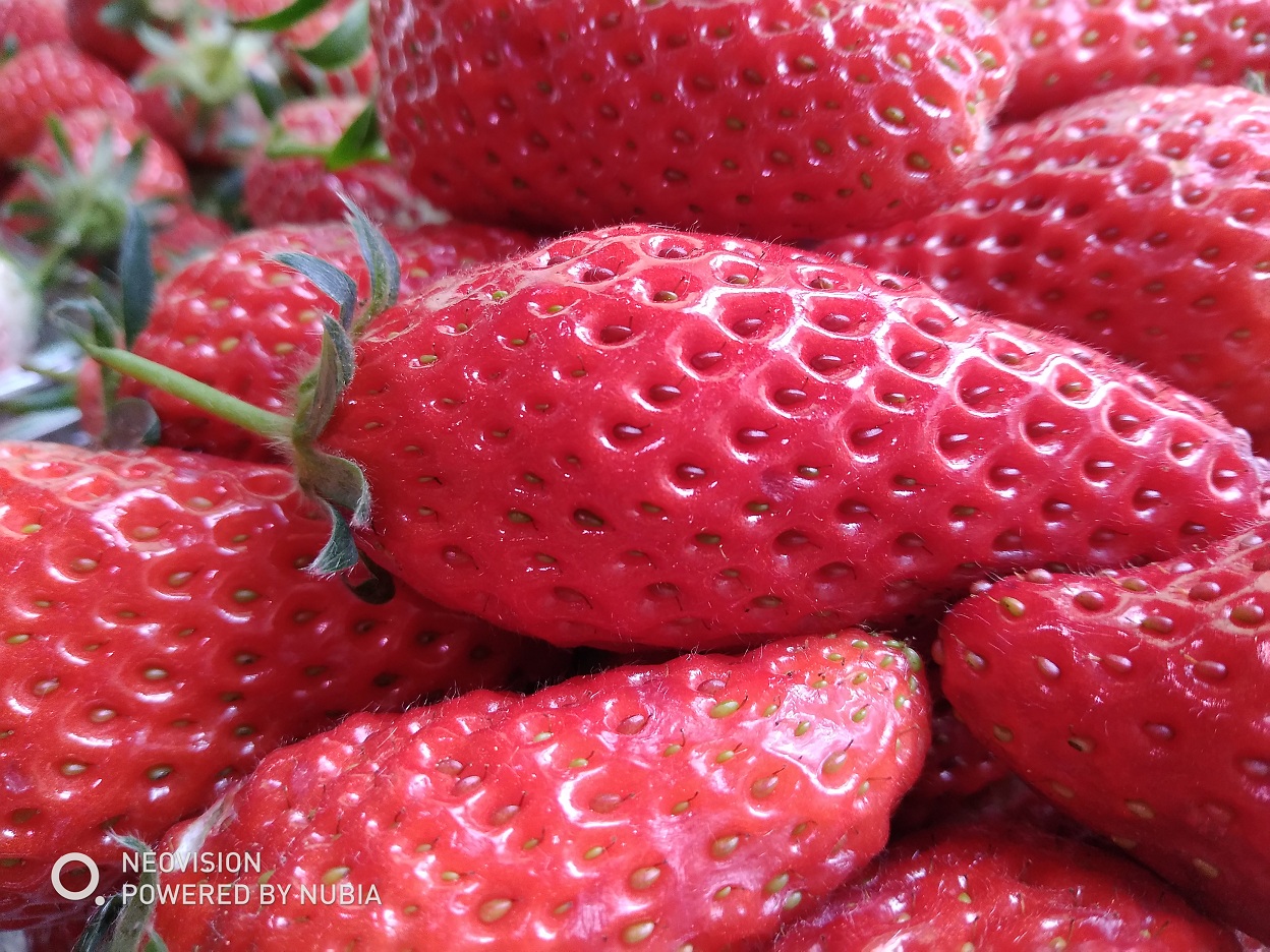 努比亚n2青春版发布,努比亚m2畅玩版评测