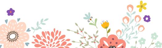 多肉植物土壤选购技巧图片,新手如何挑选多肉植物