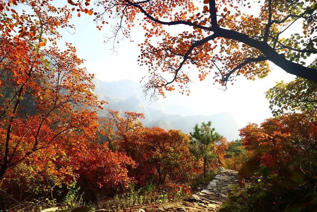 房山登山步道,房山元宝峰登山步道