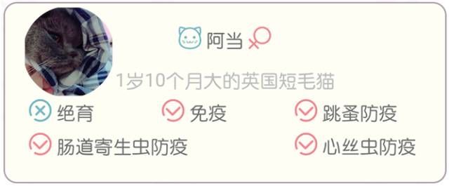 怎么区分身上是咬的还是过敏,皮肤怎么鉴别是过敏还是虫咬了