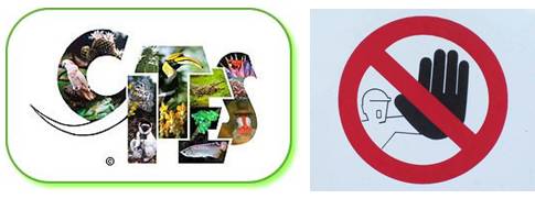 多肉植物土壤选购技巧图片,新手如何挑选多肉植物