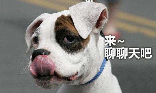 令人惊叹的绝技,魔域新神技