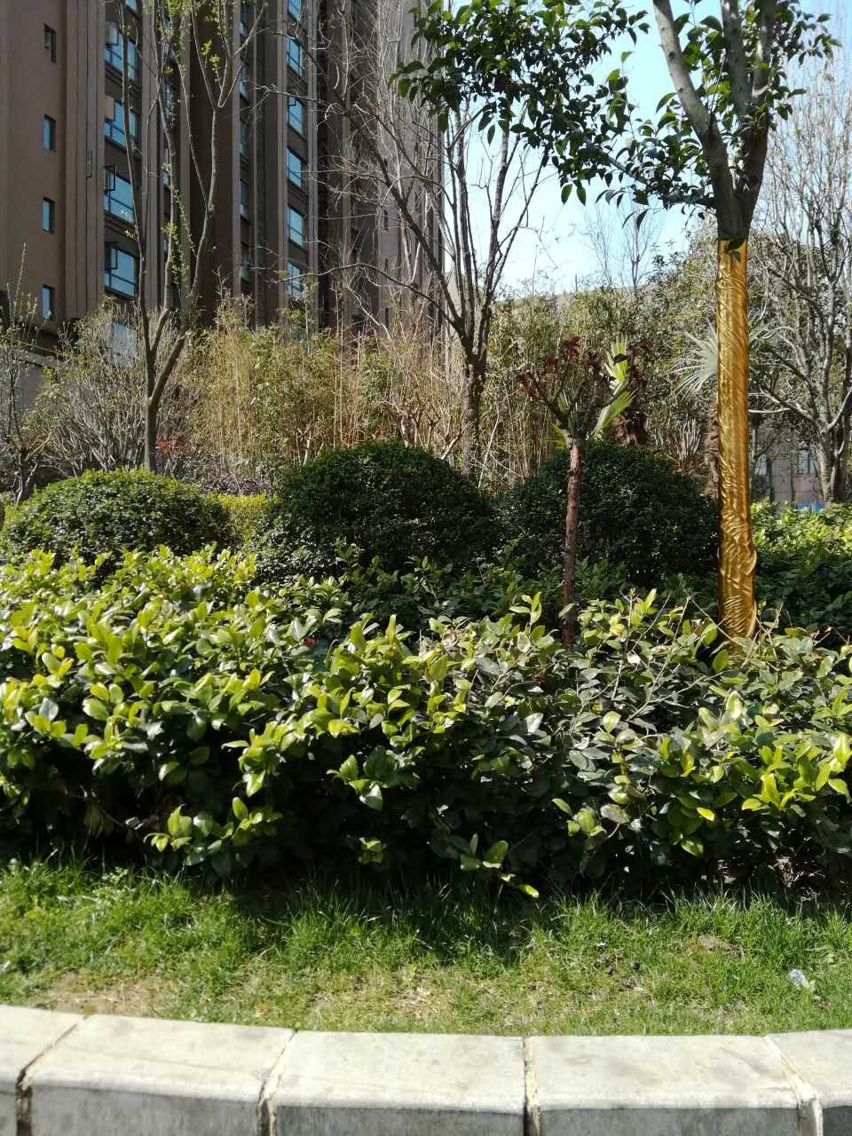 因为楼上噪音卖掉房子值得吗,因为噪音卖了好几套房子