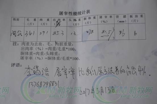 只用了225天，它就成了“猪王”！