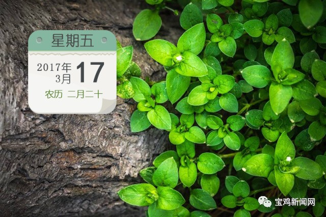 3月17日时政新闻,3月17日新闻