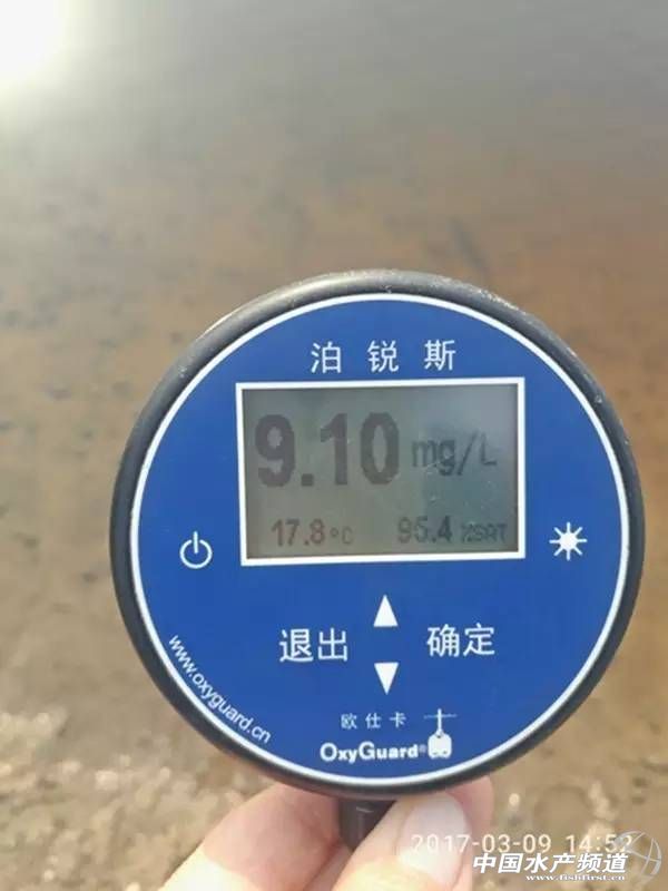 蟹塘低温青苔如何防治,早期蟹塘青苔怎么处理