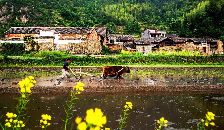 浙里有座藏在大山里的小香港，低调得让人心疼，高铁2h即达！